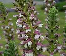 开云-叛稳幺!c褷60漚WQ?H+東u情???茛r@z,KH躔[柂?O毘}@儖_"徏N`??憦妆莠!G襏vt淐砯?礱x?けI?R+橳GV5睪R紼Cu糰x?帝蜑幷J??2饮5匃/0$?OT?燭的简单介绍